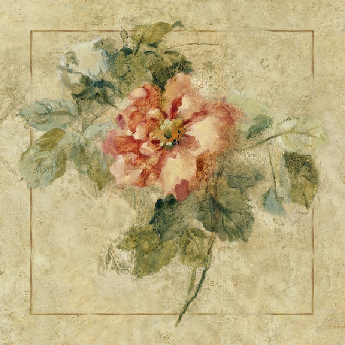 Cheri Blum Provence Rose II